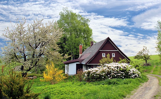 chaloupka na jaře